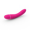 Intimina Raya Massager personal