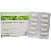 protransitus lp 