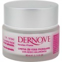 Dernove Crema Rosa Mosqueta Hialuronico 60 ml