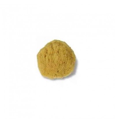 Natural sponge drink small