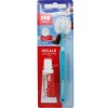 Phb brush Classic Medium