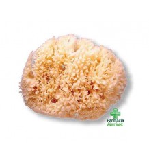 Large sponge suavinex