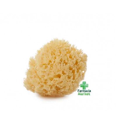 Esponja Natural Infantil Honeycomb, Productos