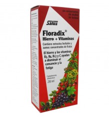 Floradix 250 ml complejo vitaminico