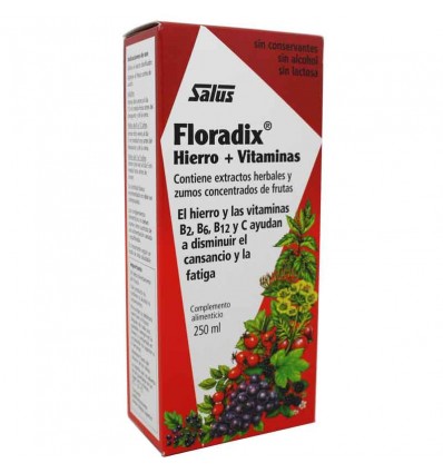 Complexe vitaminique Floradix 250 ml