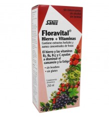 Floradix solucion 250 ml