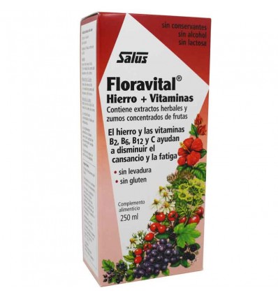 Solution Floradix 250 ml