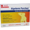 Algeterm Patches Back Lumbar 2 Units