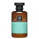Apivita Champu Equilbrante Raiz Ortiga & Propóleo 250 ml