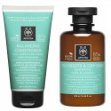 Apivita Pack Equilibrante Champu 250ml + Acondicionador 150ml