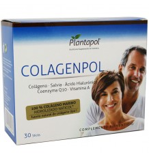 Plantapol ColagenPol 30 Stöcke