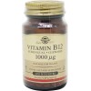 Solgar Vitamina B12 1000µg 100 Compimidos Sublinguales