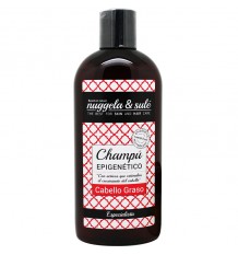 Nuggela Sule Champu Epigenetico Cabello Graso 250 ml