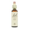 Flores de Bach Aspen Alamo Temboln 20ml