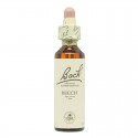 Flores de Bach Beech Haya 20ml