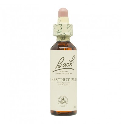 Flores de Bach Chestnut Bud Brote Castaño 20ml