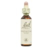 Flores de Bach Chestnut Bud Broto castanha 20ml