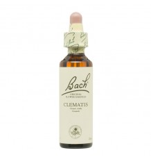 Bach Blume Clematis Clematide 20ml