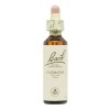 Flores de Bach Clematis Clematide 20ml