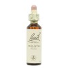 Flores de Bach Crab Apple Macieira Silvestre 20ml