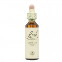 Flores de Bach Gentian Genciana 20ml