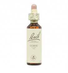 Flores de Bach Gorse Aulaga 20 ml