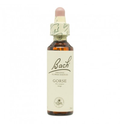 Flores de Bach Gorse Aulaga 20 ml