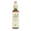 Flores de Bach Gorse Aulaga 20 ml