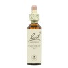 Flores de Bach Hornbeam folha 20ml