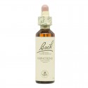 Flores de Bach Impatiens Impaciencia 20ml