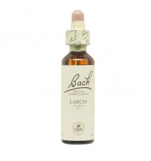 Bach Flowers Larch Larch 20ml