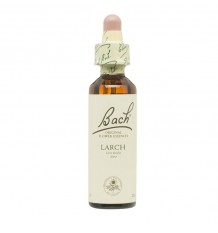 Flores de Bach Larch Alerce 20ml