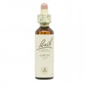 Flores de Bach Larch Alerce 20ml