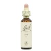 Flores de Carvalho de Bach 20ml