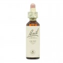 Flores de Bach Olive Olivo 20ml