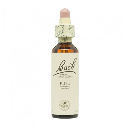Flores de Bach Pine pinheiro Silvestre 20ml