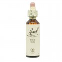 Flores de Bach Pine Pino Silvestre 20ml