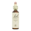 Flores de Bach Onsalnut Nogueira 20ml