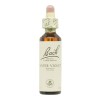Flores de Bach Water Violeta Violeta de água 20ml