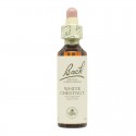 Flores de Bach White Chestnut Castaño Indias 20ml