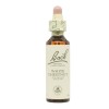 Bach Flowers White Chestnut Indian Chestnut 20ml