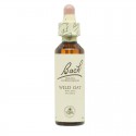 Flores de Bach Wild Oat Avena Silvestre 20 ml
