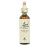Flores de Bach Wild Oat aveia selvagem 20 ml