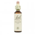 Flores de Bach Wild Rose Rosa Silvestre 20ml