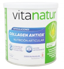 Vitanatur Collagen Antiox 180g 15 Dias