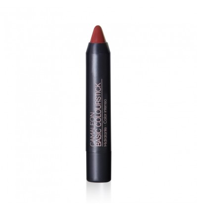 Camaleon Labial Color Stick Tierra