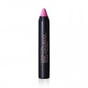 Pintalabios Camaleon Basic Colour Stick Acabado Metalico Morado