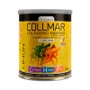 Collmar Kurkuma Zitronengeschmack 300 g