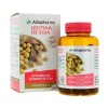 Arkokapseln Sojalecithin 150 Kapseln Bio