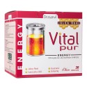 Vitalpur Energy Jalea Real 20 Viales 15ml
